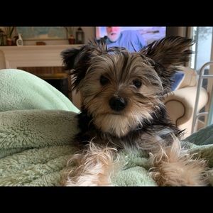 Meet your Posher, Kelly